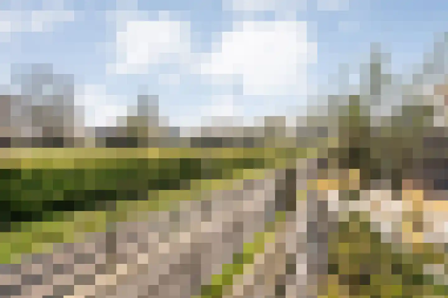 de Voortmors 110 Weerselo thumbnail 24