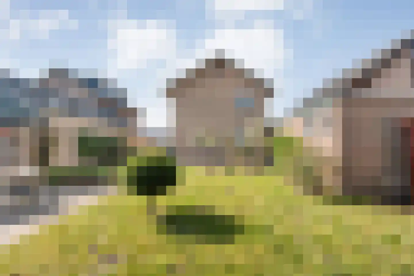de Voortmors 110 Weerselo thumbnail 25
