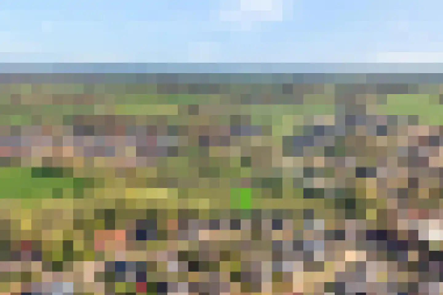 de Voortmors 110 Weerselo thumbnail 26