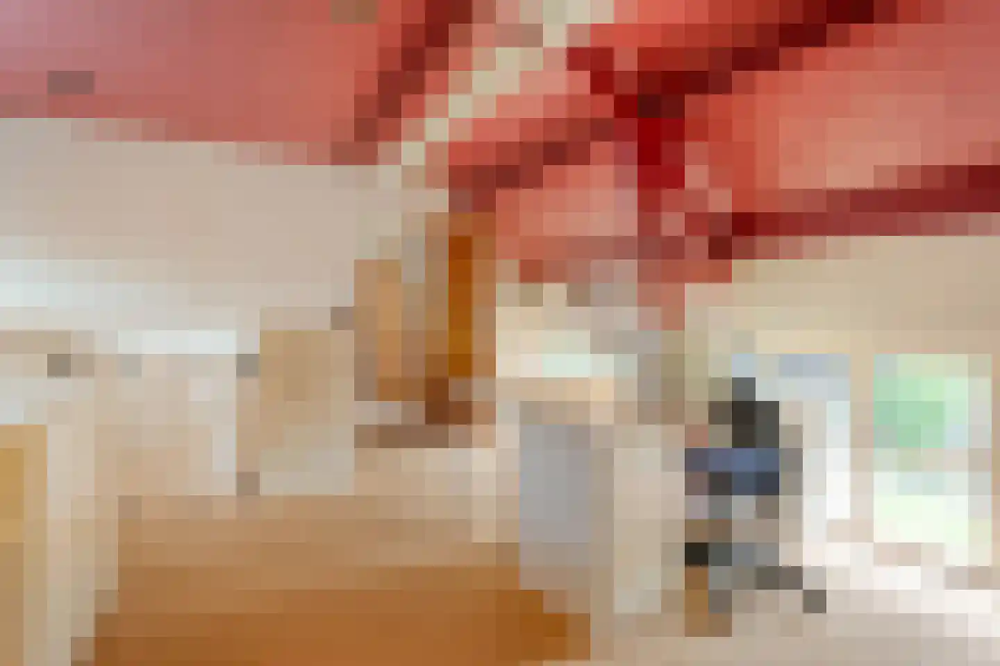 de Voortmors 120 Weerselo thumbnail 14