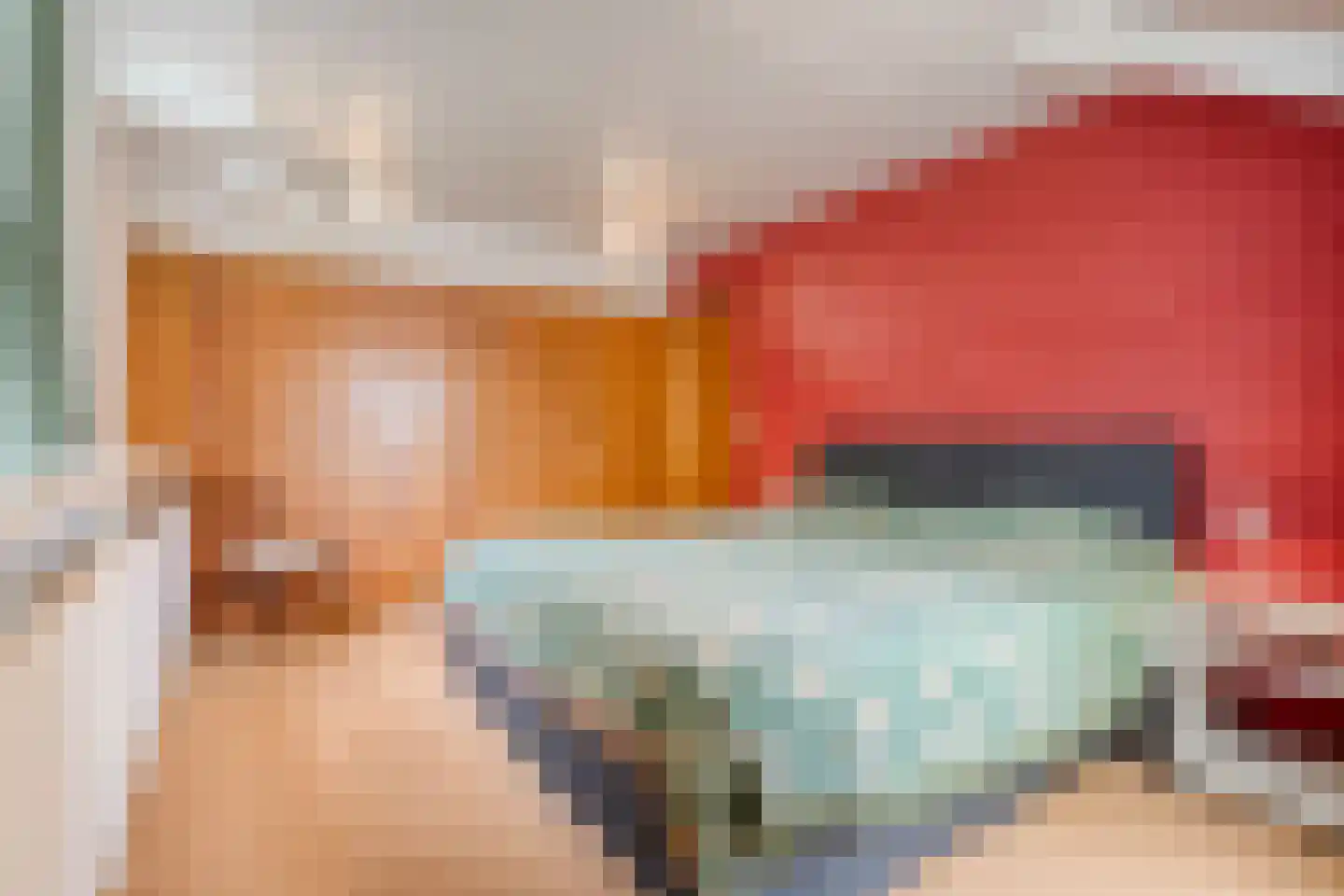 de Voortmors 120 Weerselo thumbnail 15