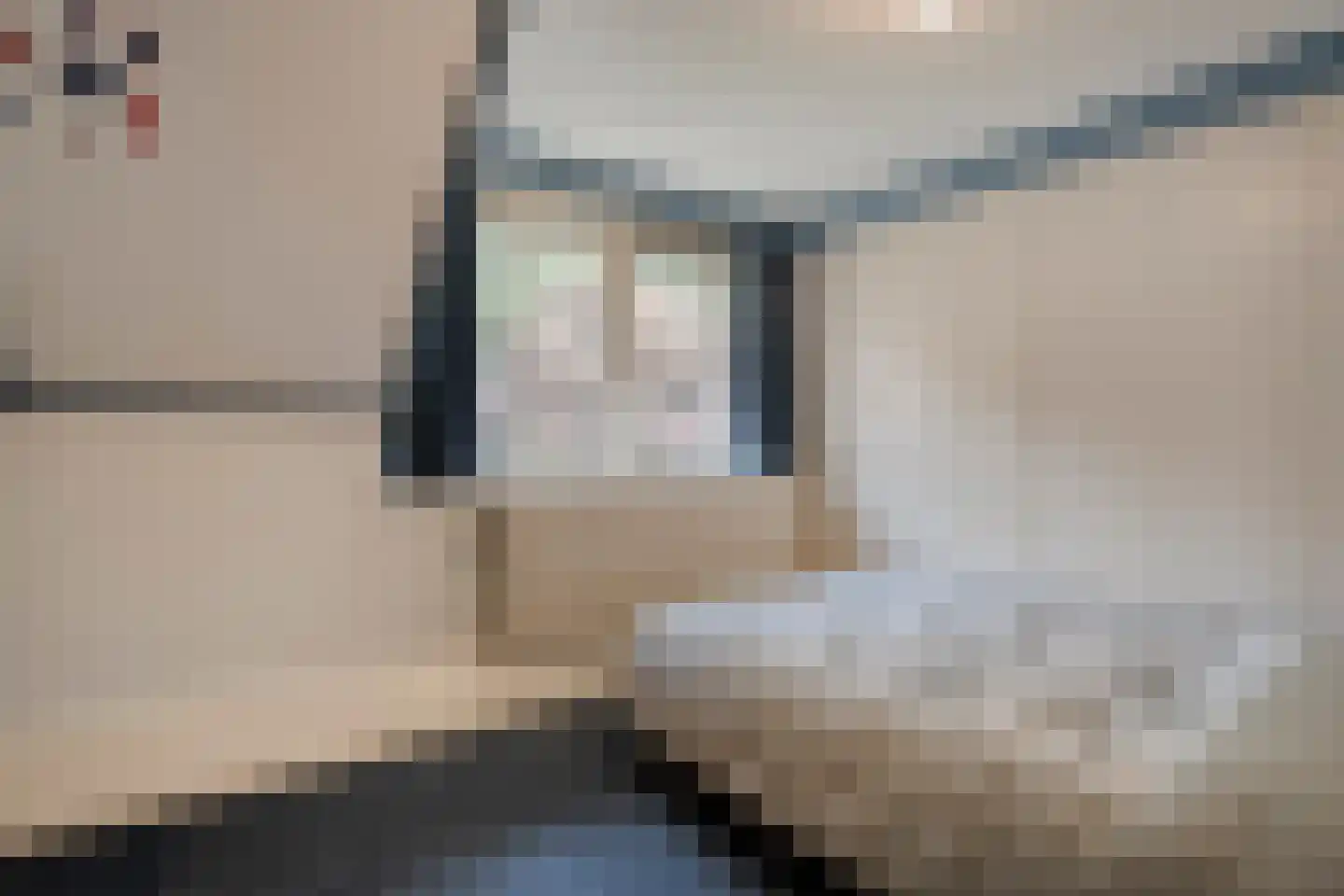de Voortmors 120 Weerselo thumbnail 17