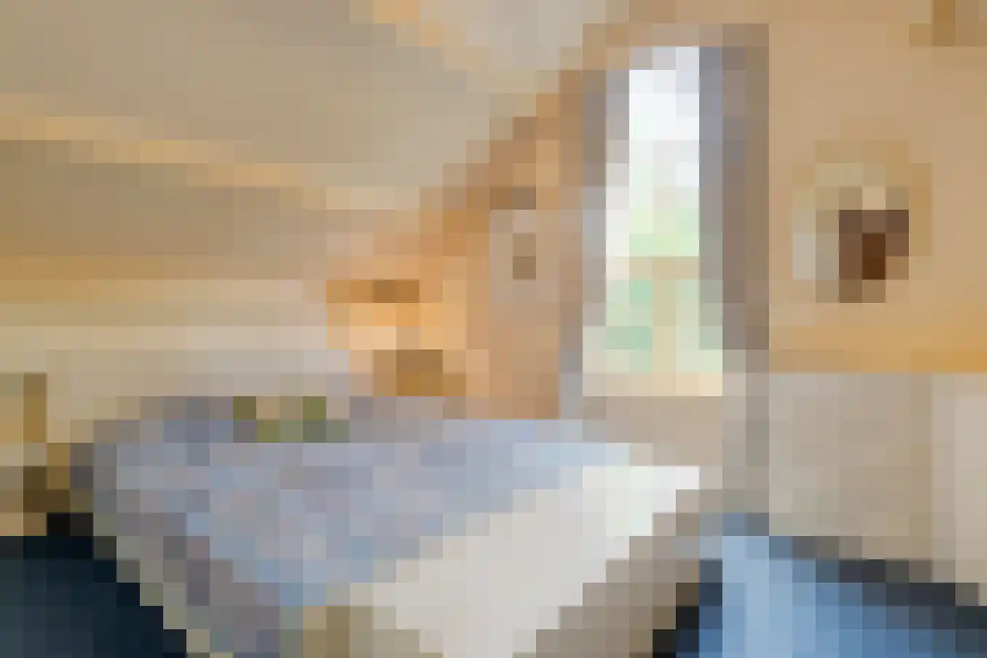 de Voortmors 120 Weerselo thumbnail 20