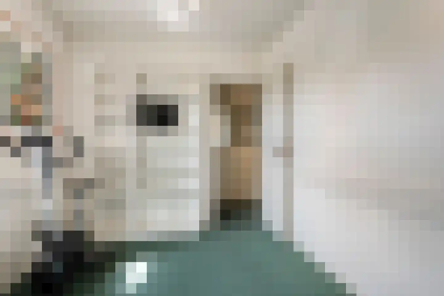 de Voortmors 120 Weerselo thumbnail 24