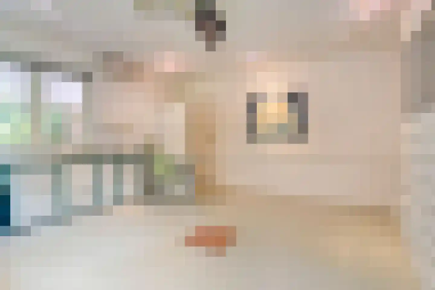 de Voortmors 120 Weerselo thumbnail 26