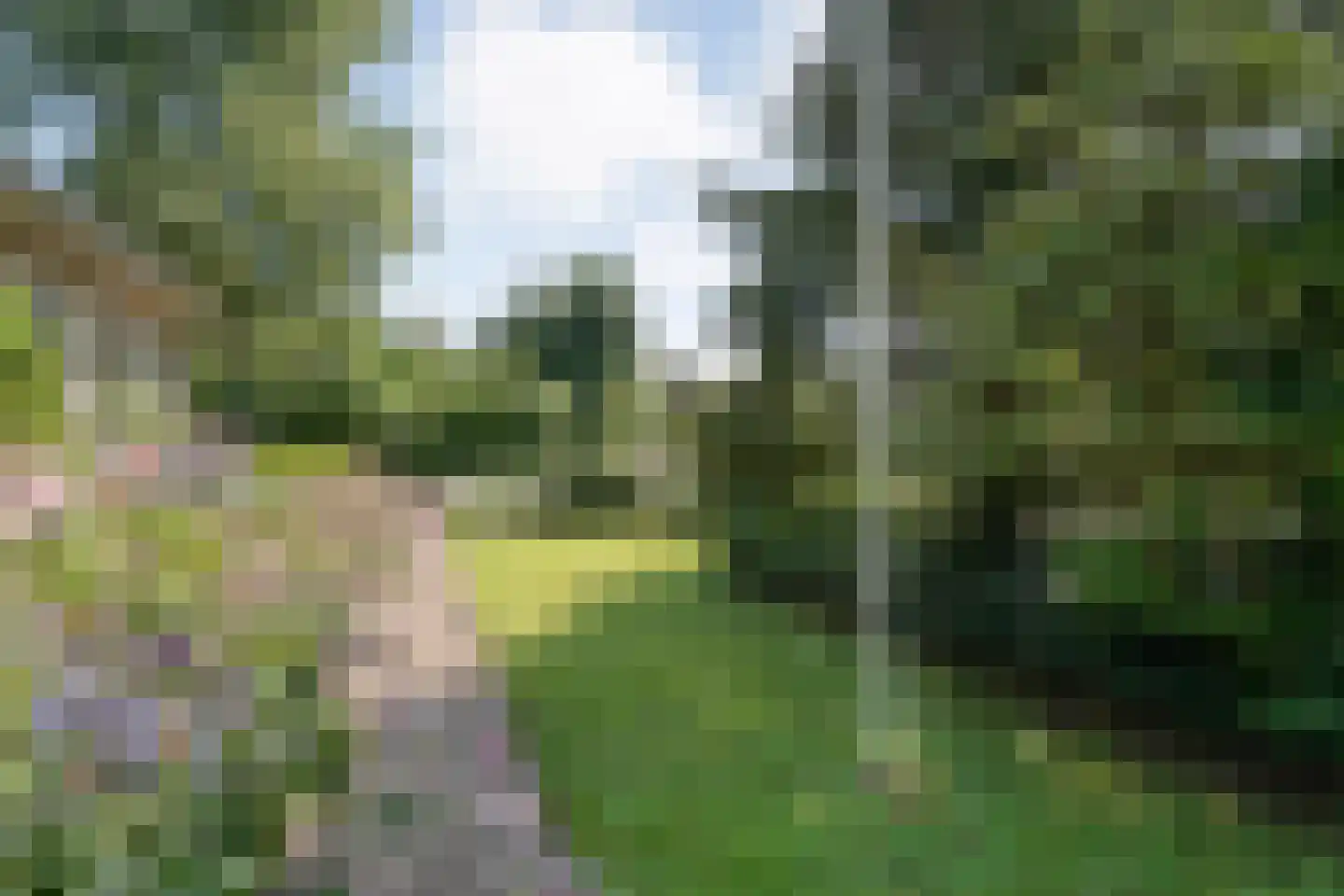 de Voortmors 120 Weerselo thumbnail 31