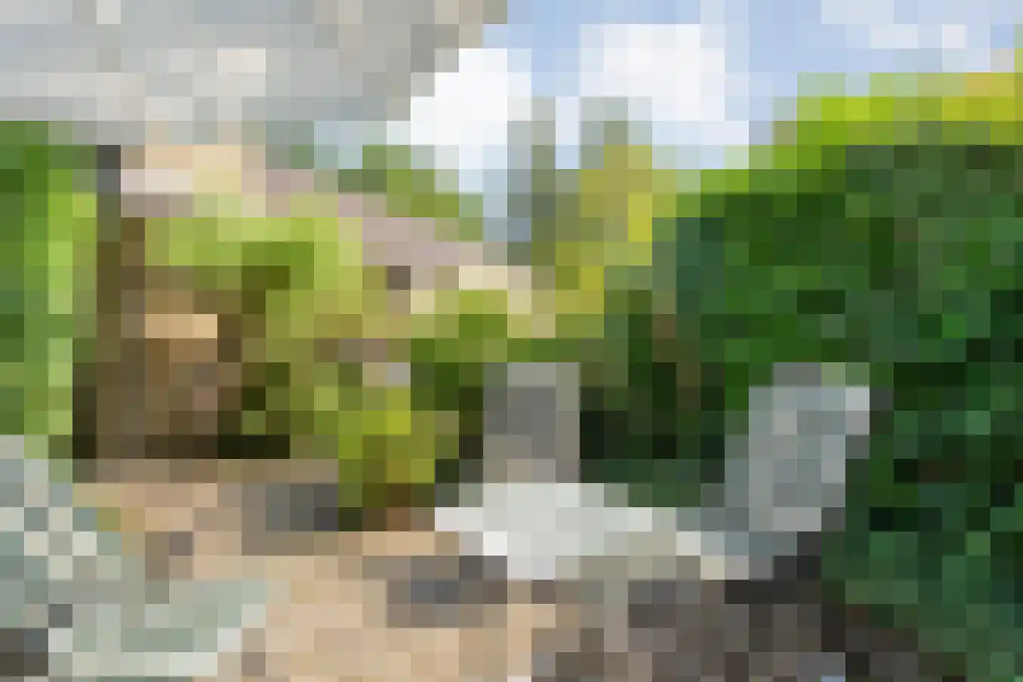 de Voortmors 120 Weerselo thumbnail 33