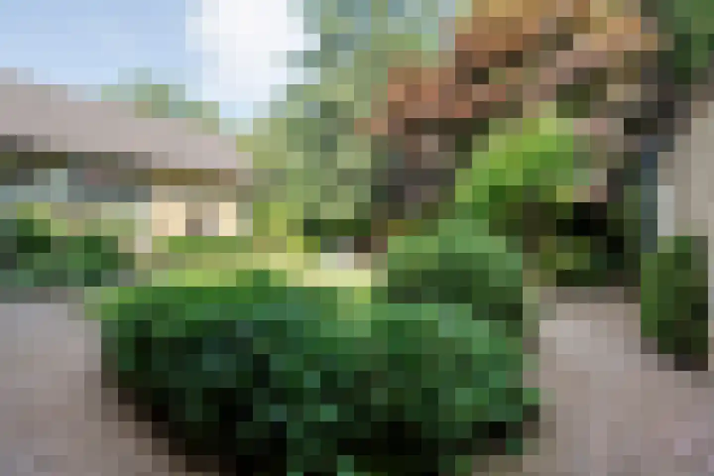 de Voortmors 120 Weerselo thumbnail 34