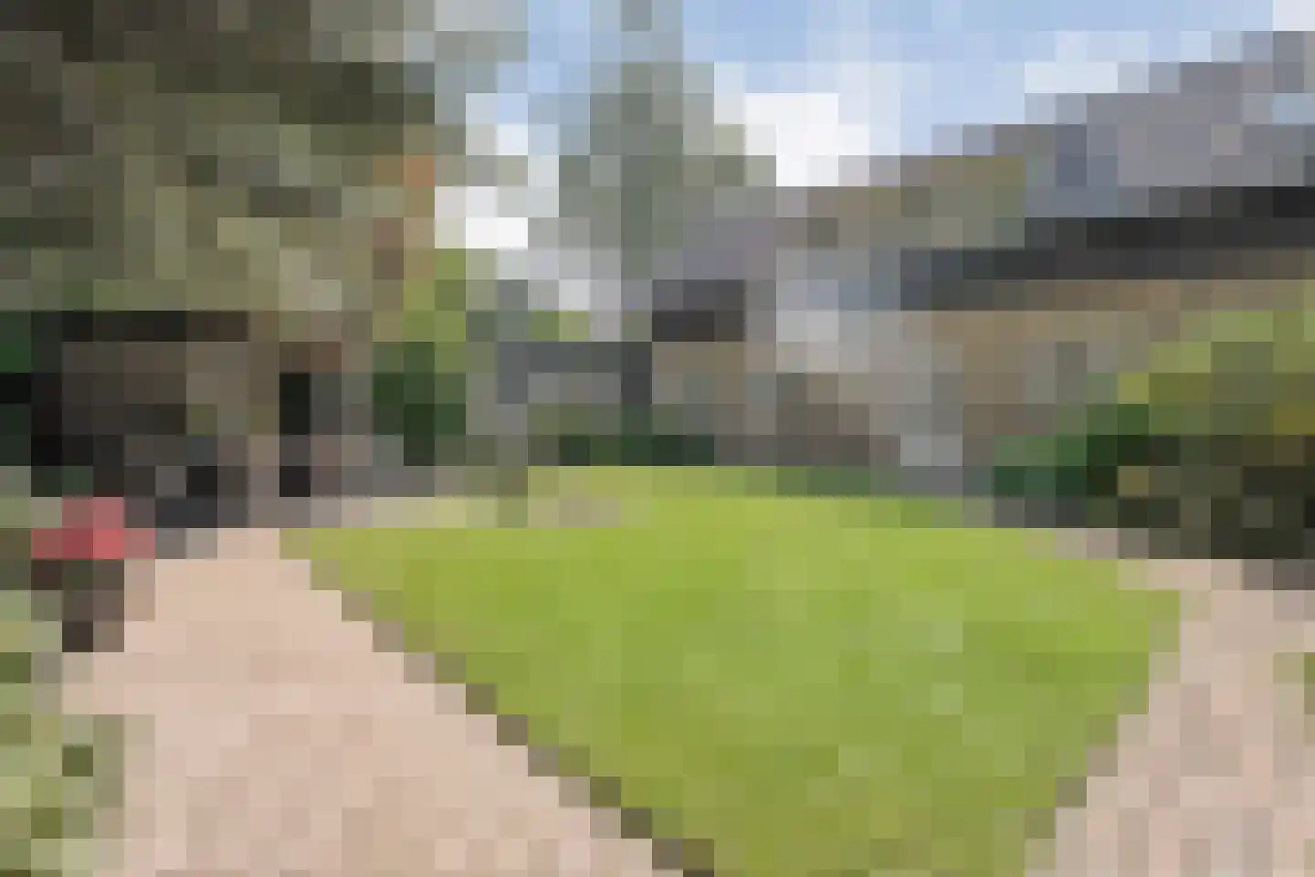 de Voortmors 120 Weerselo thumbnail 35
