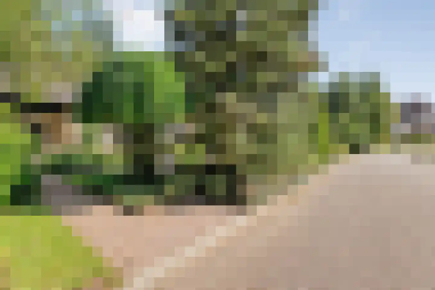 de Voortmors 120 Weerselo thumbnail 4