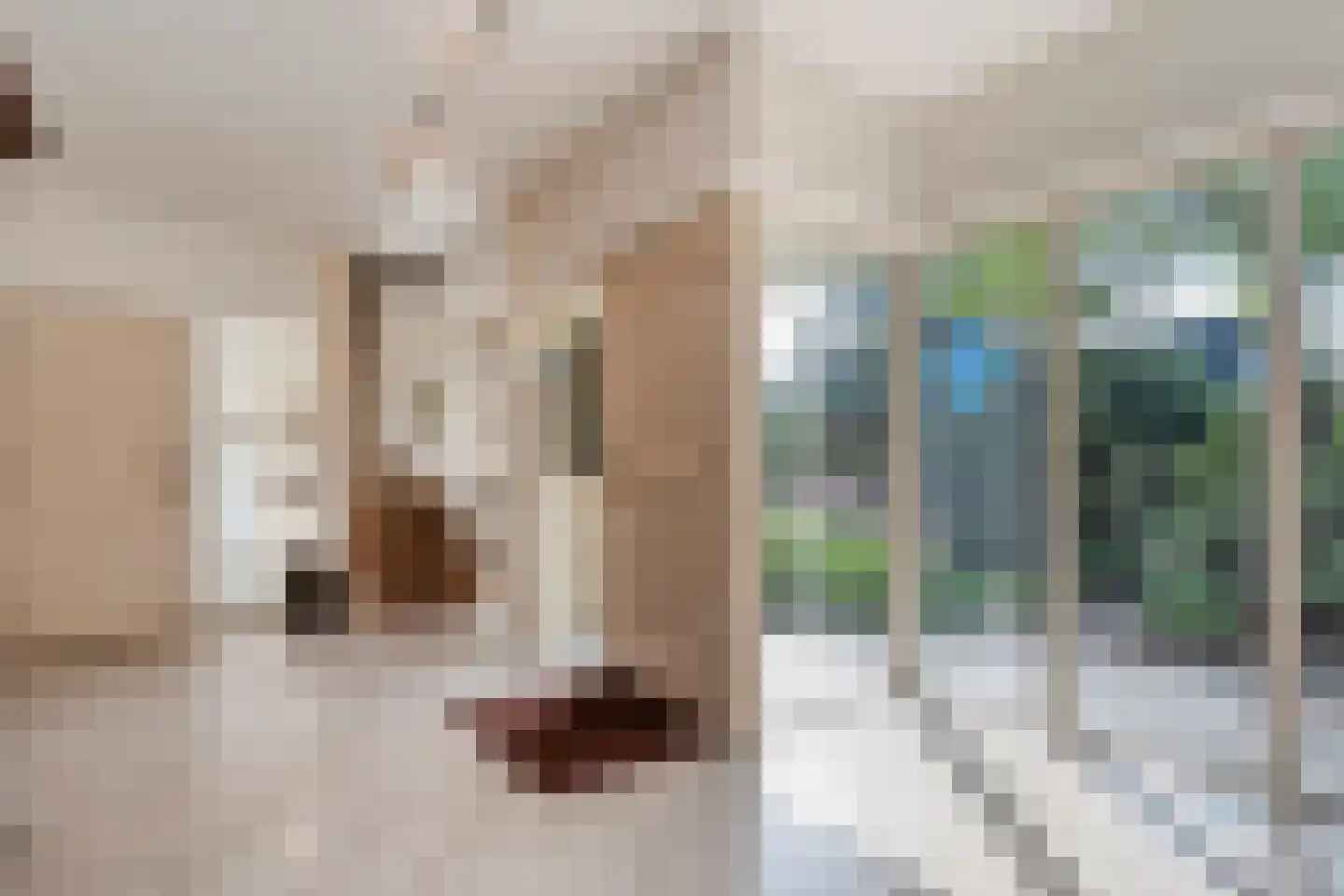 de Voortmors 120 Weerselo thumbnail 5