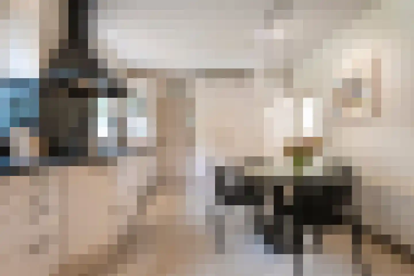 de Voortmors 120 Weerselo thumbnail 7