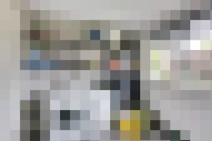 de Voortmors 40 Weerselo thumbnail 10