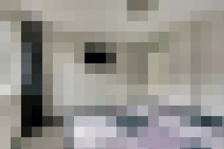 de Voortmors 40 Weerselo thumbnail 11