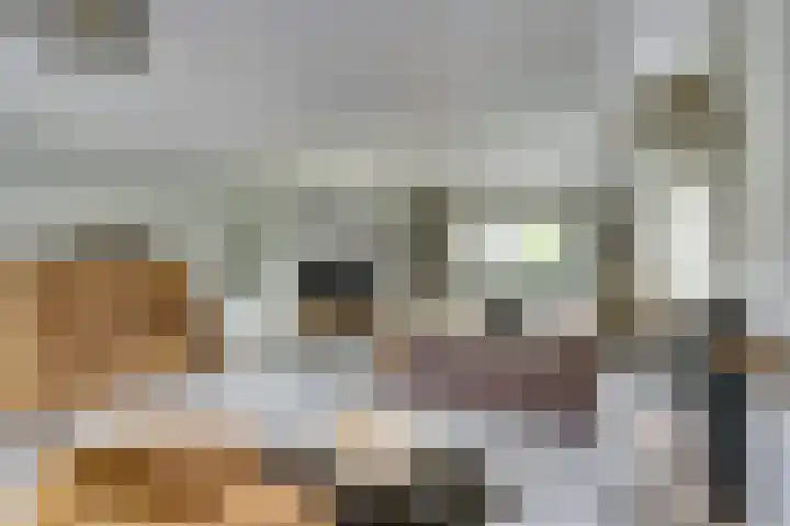 de Voortmors 40 Weerselo thumbnail 14
