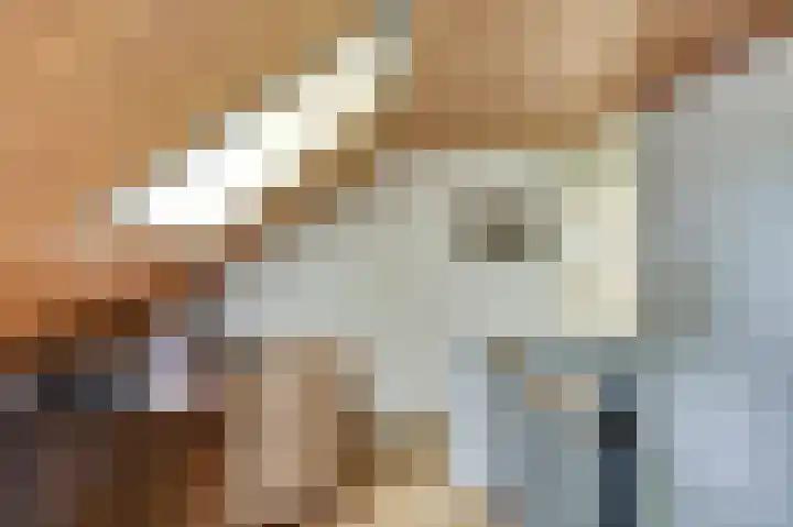 de Voortmors 40 Weerselo thumbnail 18