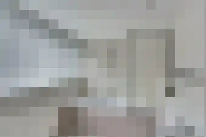 de Voortmors 40 Weerselo thumbnail 19