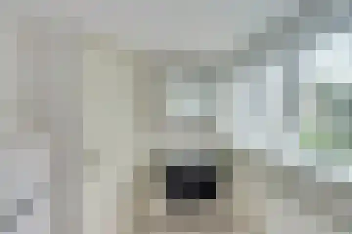 de Voortmors 40 Weerselo thumbnail 20