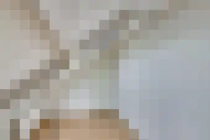 de Voortmors 40 Weerselo thumbnail 22