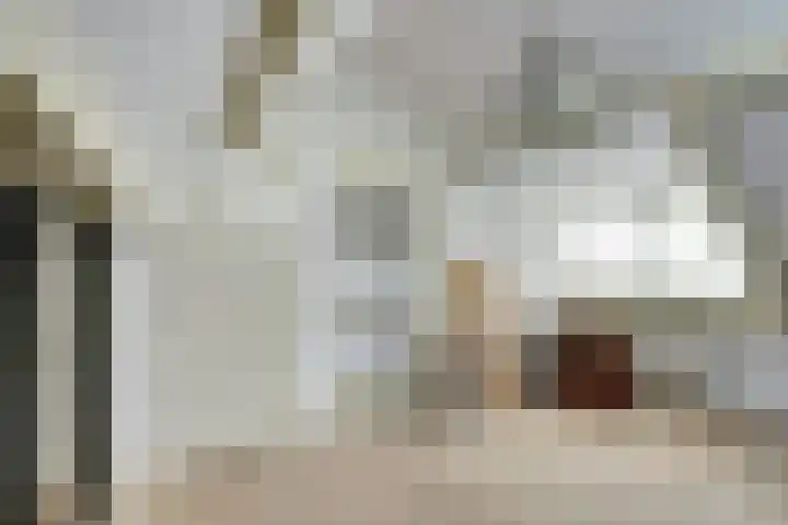 de Voortmors 40 Weerselo thumbnail 24