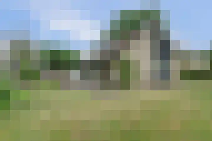 de Voortmors 40 Weerselo thumbnail 26