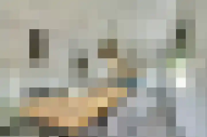 de Voortmors 40 Weerselo thumbnail 4