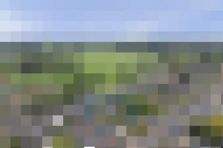 de Voortmors 40 Weerselo thumbnail 6