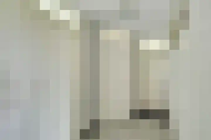 de Voortmors 40 Weerselo thumbnail 9