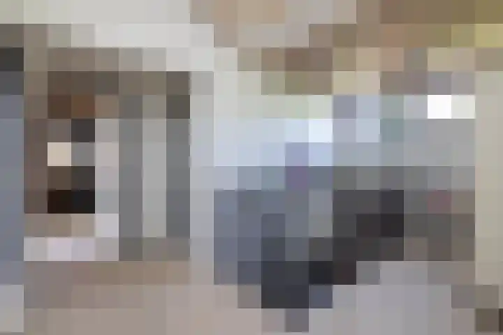 de Voortmors 53 Weerselo thumbnail 12