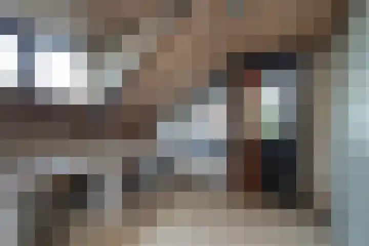 de Voortmors 53 Weerselo thumbnail 13