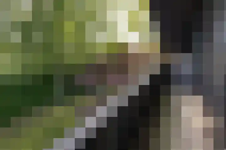 de Voortmors 53 Weerselo thumbnail 15