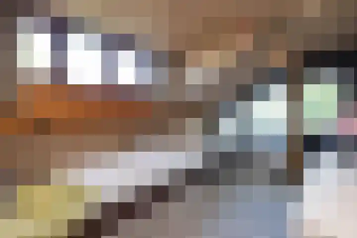 de Voortmors 53 Weerselo thumbnail 17