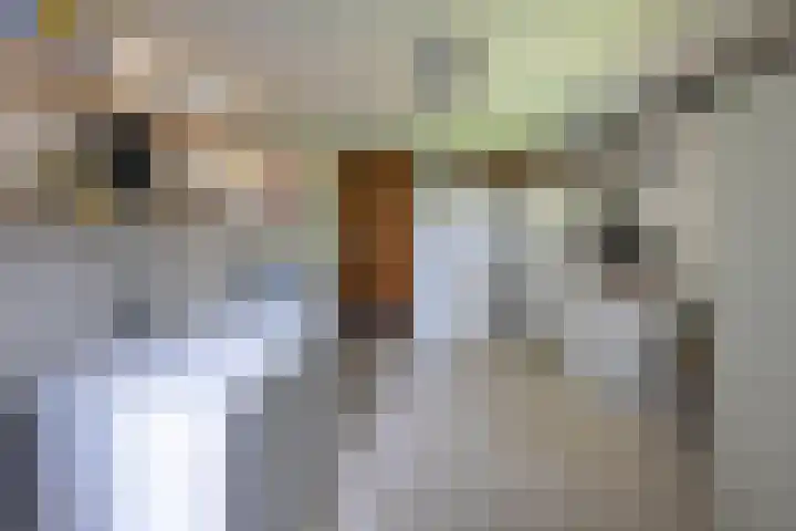 de Voortmors 53 Weerselo thumbnail 19