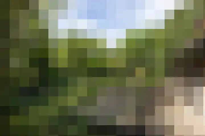 de Voortmors 53 Weerselo thumbnail 20