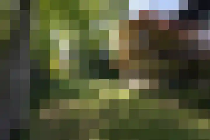 de Voortmors 53 Weerselo thumbnail 21