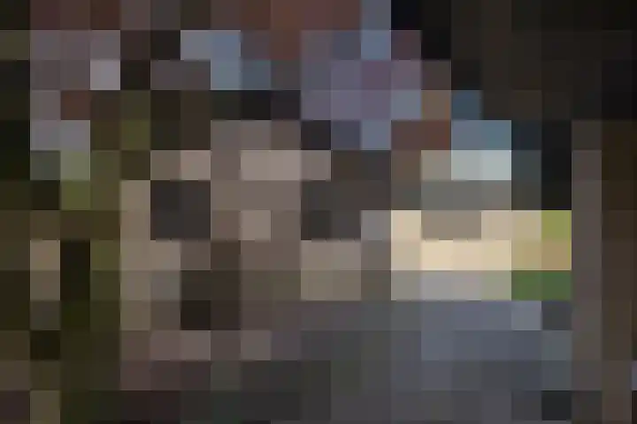 de Voortmors 53 Weerselo thumbnail 22