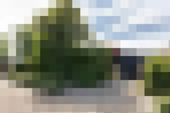 de Voortmors 53 Weerselo thumbnail 23
