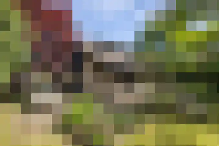de Voortmors 53 Weerselo thumbnail 24
