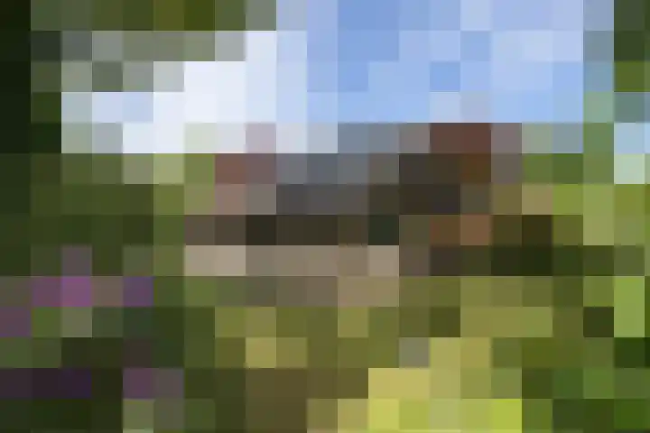 de Voortmors 53 Weerselo thumbnail 4