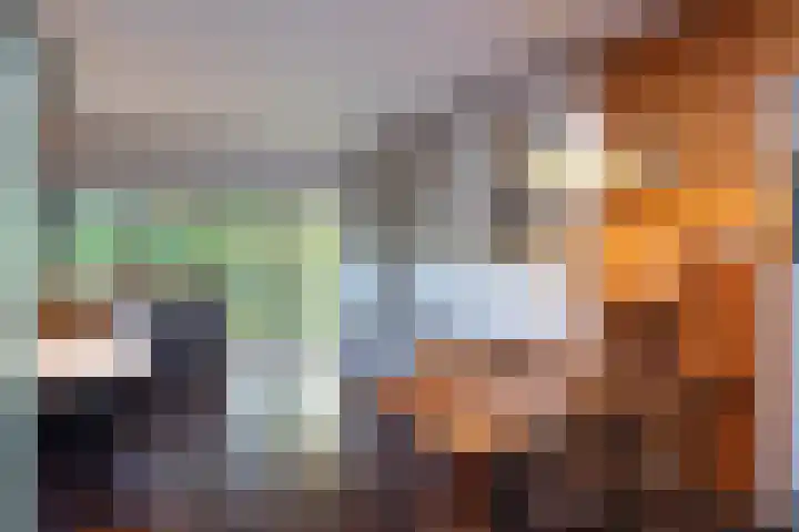 de Voortmors 53 Weerselo thumbnail 6