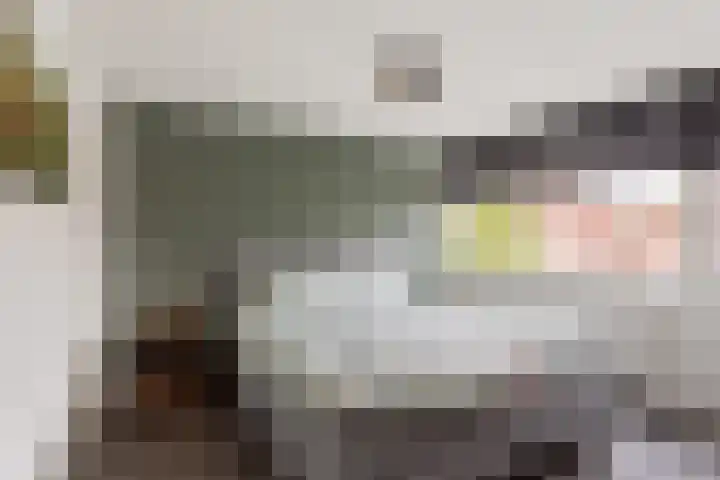 de Voortmors 64 Weerselo thumbnail 12
