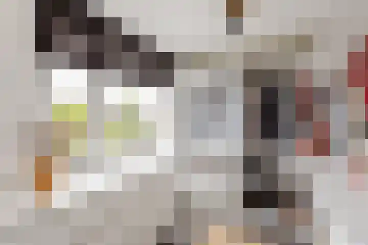 de Voortmors 64 Weerselo thumbnail 14