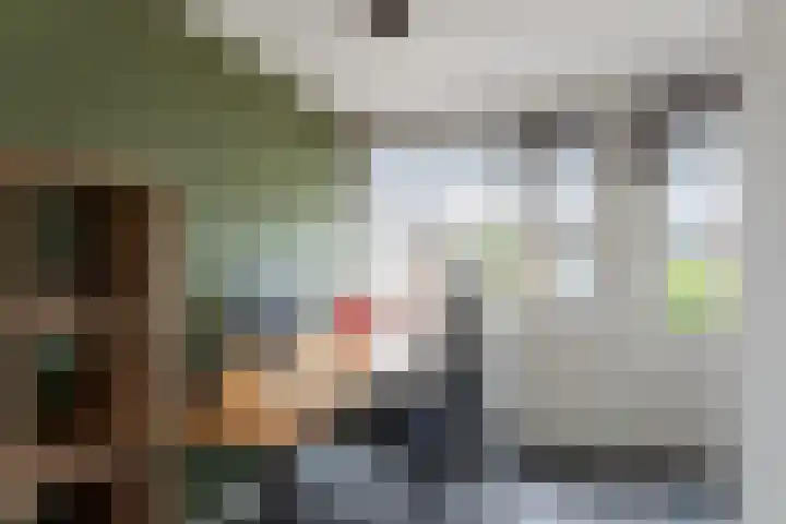 de Voortmors 64 Weerselo thumbnail 16
