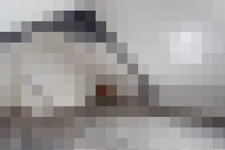 de Voortmors 64 Weerselo thumbnail 17