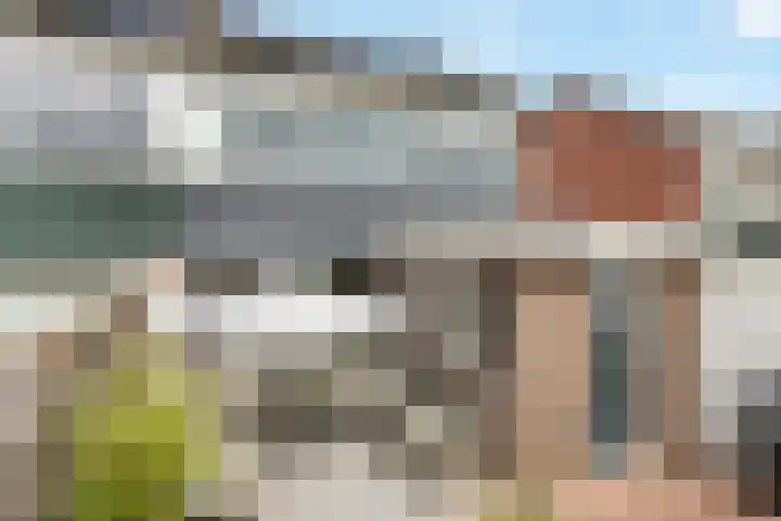 de Voortmors 64 Weerselo thumbnail 18