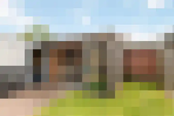 de Voortmors 64 Weerselo thumbnail 19