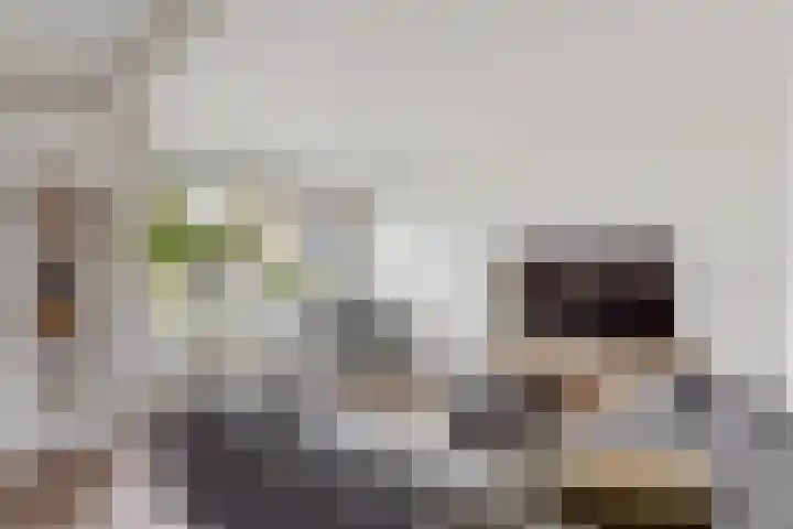 de Voortmors 64 Weerselo foto 2