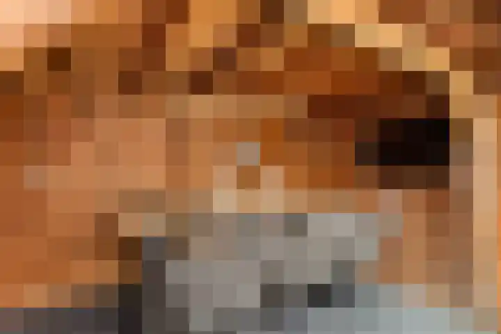 de Voortmors 64 Weerselo thumbnail 20