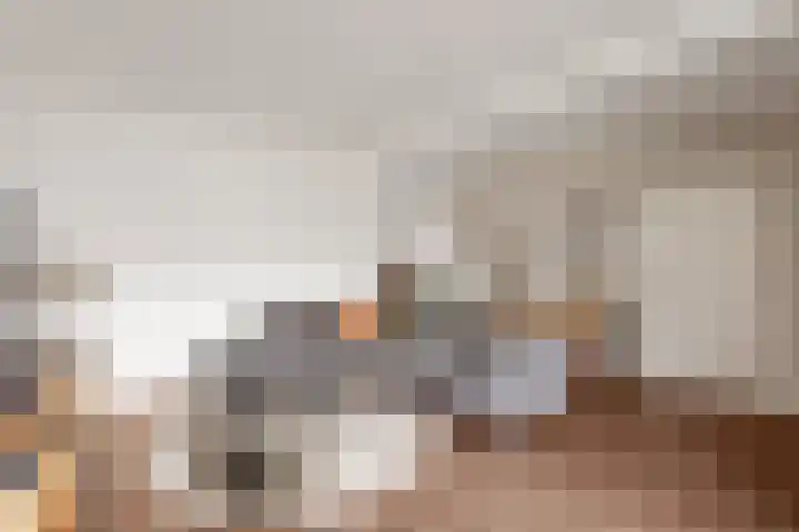 de Voortmors 64 Weerselo thumbnail 8