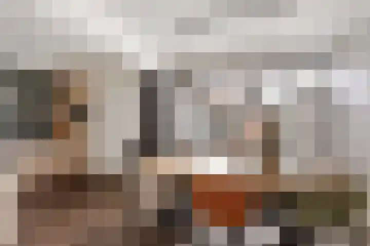 de Voortmors 64 Weerselo thumbnail 9